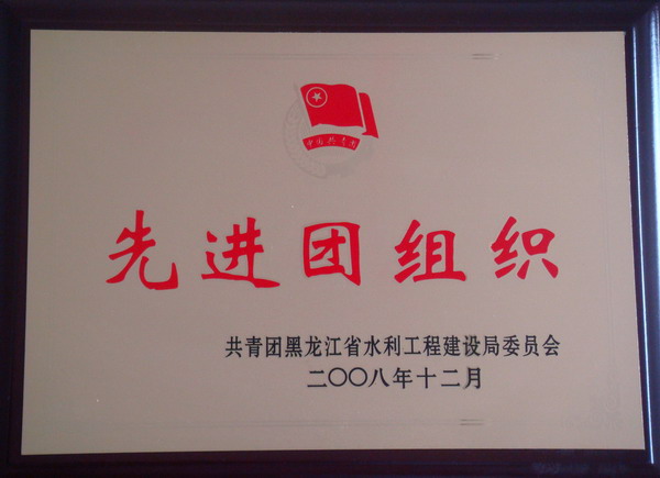 冲填处团委获省水利工程建设局“先进团组织”