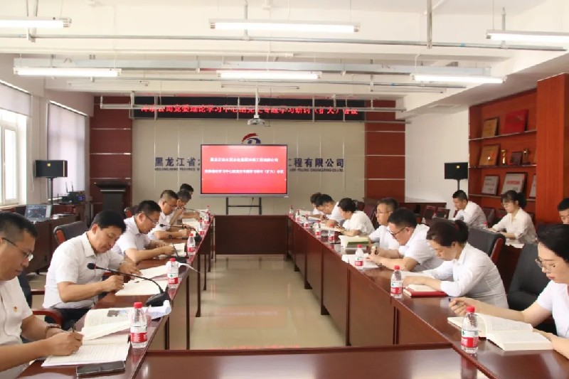 永利娱场城app党委召开党委理论学习中心组党史专题学习研讨（扩大）会议
